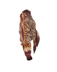Blouse motif tigre camel bordeaux